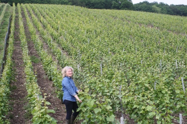 Champagne COUVENT-LEMERY - 