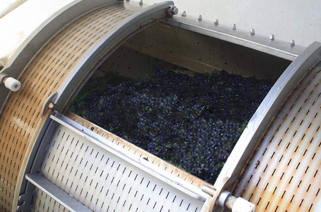 Champagne COUVENT-LEMERY -  Champagne COUVENT-LEMERY -